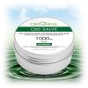 CBD2HEAL CBD Healing Salve Peppermint-1000mg