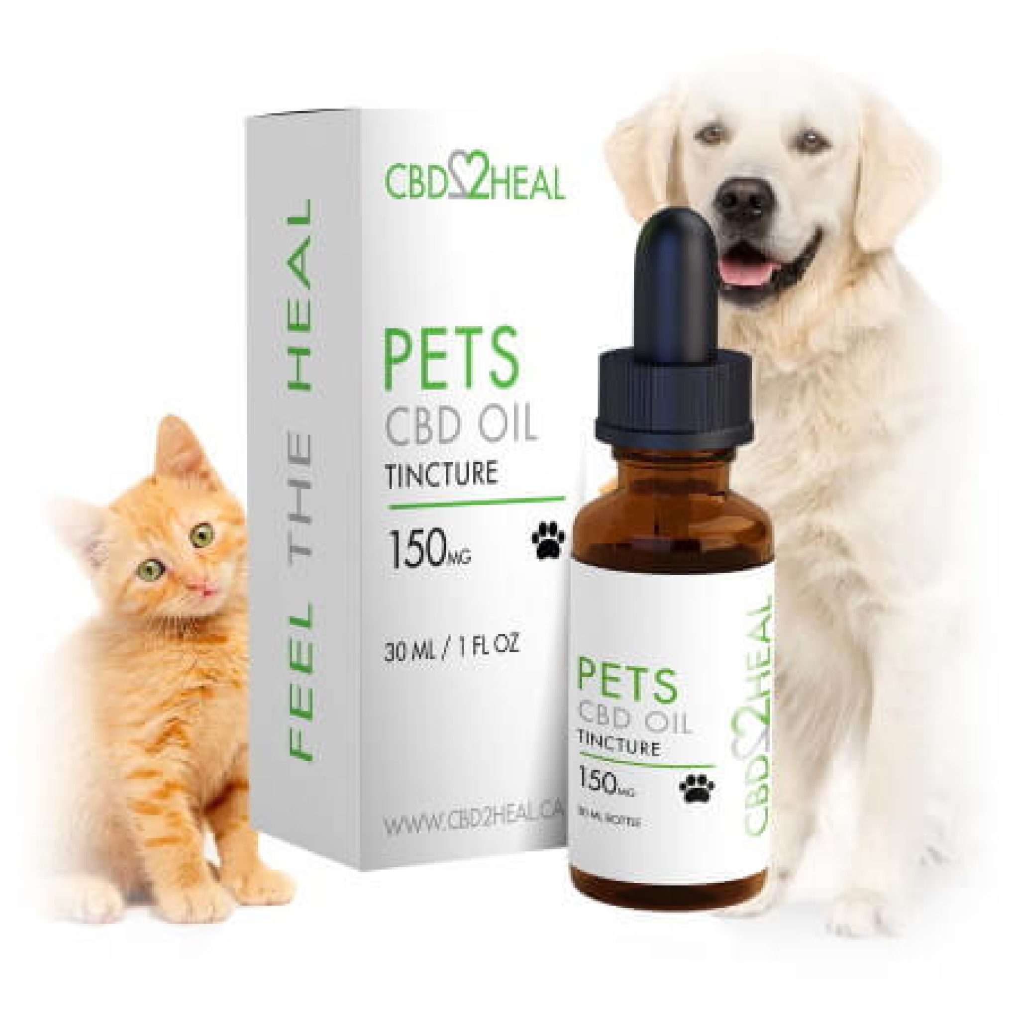 cbd öl hunde